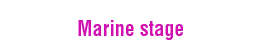  Marine stage